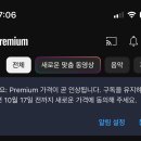 유튜브 프리미엄 우회들아 가격인상 그냥 동의하면 되? 이미지