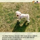 미소주유소 - 익산시 익산대로 121 | 미소주유소