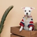 즐거운 동물병원 이미지