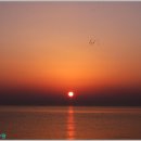 클럽비바 이미지