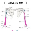 발란체한의원 이미지