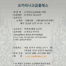 오카리나 (고급) Daum카페