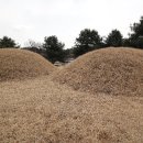 원유남 선생묘 이미지