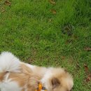 (주)우루루 이미지