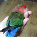 모란경로당 이미지