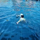 아이뜰관광농원 이미지