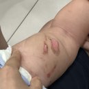 연세성모의원 이미지