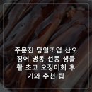 주문진산오징어 | 주문진 당일조업 산오징어 냉동 선동 생물 활 초코 오징어회 후기와 추천 팁