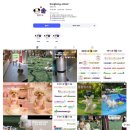 에듀멍 애견유치원 호텔 | 덕소애견유치원 4년째 픽업부터 수업영상까지 꼼꼼해서 믿고 맡기는 봉봉멍스쿨 후기💕