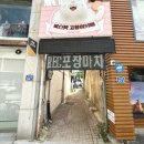 힐링캐터리 | 청주 고양이카페 성안길 비스캣고양이카페 방문기