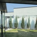 힐스톤 B 네이버블로그