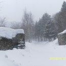 진고개목장 이미지