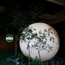 탐라포차 둔산점 이미지