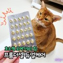 더셀 | 고양이 오메가3 환절기 털빠짐 필수템! 프롬더셀 듀얼케어 급여 후기