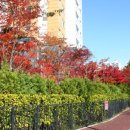 내손중앙로 이미지