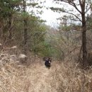 새터민박 이미지