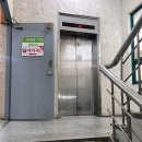 세인치과의원 | 부산 근교 창원 파충류카페ㅣ파충류카페티라노 아이와 다녀온 솔직 후기