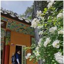 평원스테이 이미지