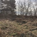 예스부동산중개주식회사 이미지