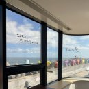 카페어달 | 동해 묵호 오션뷰 카페 추천 카페어달 내돈내산 솔직 후기