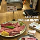 이리와 | 한국인 사장님이 운영하는 후쿠오카 텐진 이자카야 이리와, 예약 없이 간 후기