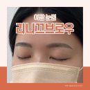 분당-354 | 성남 분당 야탑 여자 눈썹 리니끄브로우 후기