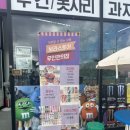 대일파라솔 이미지