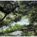 가을동화펜션 이미지