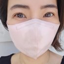 경주미담한옥펜션