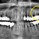 공릉서울치과의원 이미지