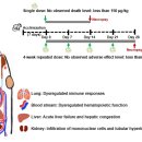 ㈜라인에너지 이미지