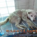 왕방로 이미지