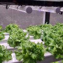 미숙농장 이미지