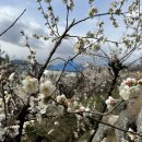 구룡공원입구 이미지