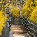 서울숲3 이미지