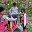 조광섭농장 이미지