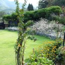 도그 앤 조이 이미지