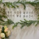 솜플레이스 네이버블로그