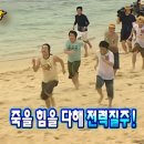 스톤래빗 이미지