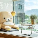 키즈풀빌라 똥강아지 이미지