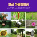 단원미술관 페달로 | 서울 근교 당일치기 여행 안산 가볼만한곳(성호기념관.성호공원.단원조각공원)2019 올해의 관광도시 안산