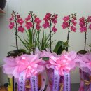 예천동부초등학교 이미지