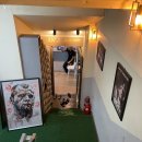 조남진 짐 이미지