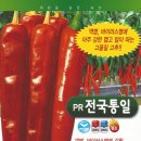 삼성고추 네이버블로그