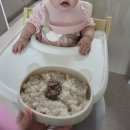 마마플레이트 | [이유식용품] 블루마마 모두아이 곰돌이플레이트 실리콘이유식기 이유식그릇