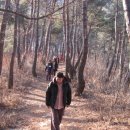 솔바람사이길 이미지