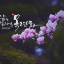 캘리그라피 이미지