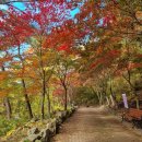 중앙문해교실 이미지