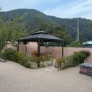 청도 금천 비소 11 | 청도 스테이더담 금천점 / 경북 견종제한 없는 대형견 동반숙소