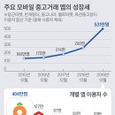 중고몰 - 안산시 단원구 당곡로 9 | 중고몰